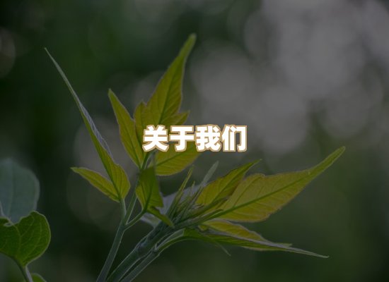 关于瑞达欧标